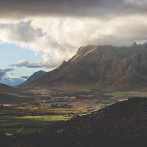 05.07.25 Weinerlebnis Südafrika Detail - K&D wine stories