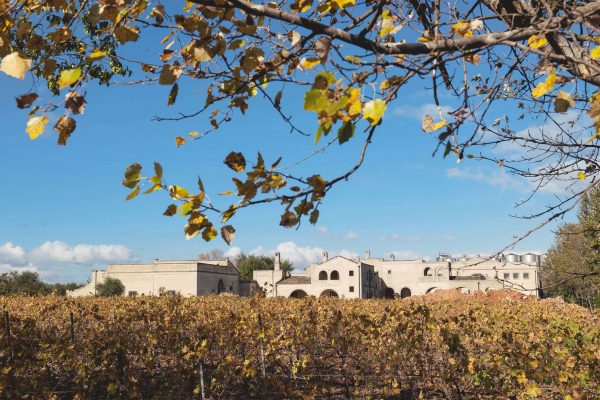 Tenuta Viglione La ndschaft Apulien